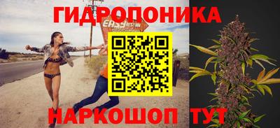 мяу мяу мука Усть-Джегута