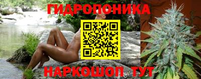 мяу мяу мука Усть-Джегута